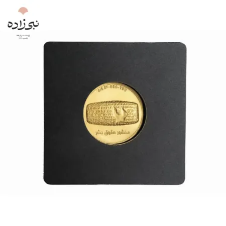 شمش 24 عیار 500 سوت منشور حقوق بشر G042